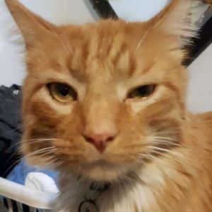 Meet your Posher, Vanessa